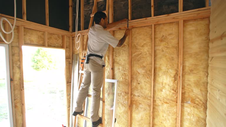 Best Blown-In Insulation  in USA